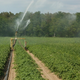 Illustration for article titled Why Each and Every Homeowner Should Consider Putting in an Irrigation System